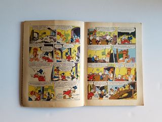 Safari en Kumba Tumba