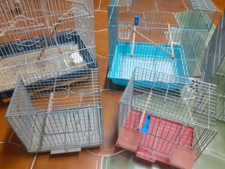 Jaulas para pájaros 