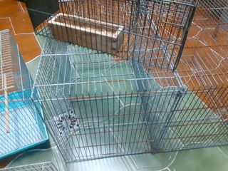 Jaulas para pájaros 