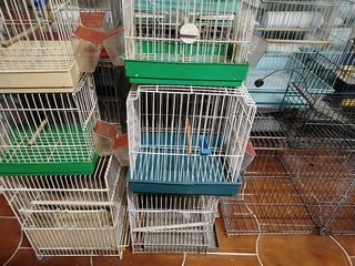 Jaulas para pájaros 