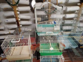 Jaulas para pájaros 