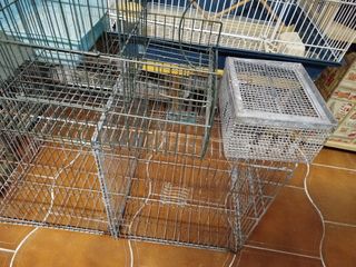Jaulas para pájaros 