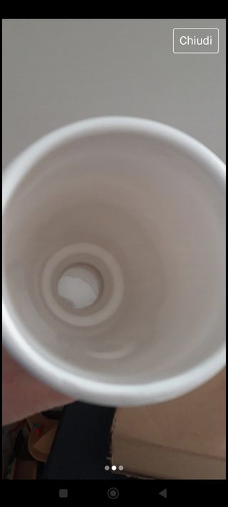 Coppia di vasi in ceramica