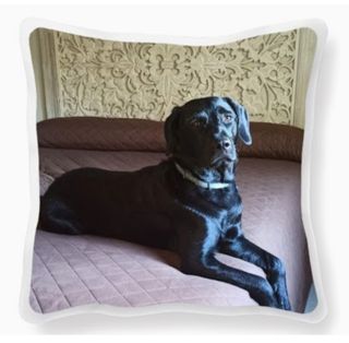 Cojines personalizados