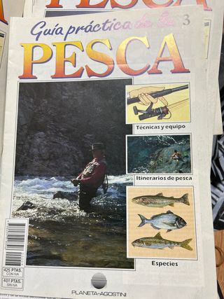Lote de Guia practica de pesca. VHS y revistas