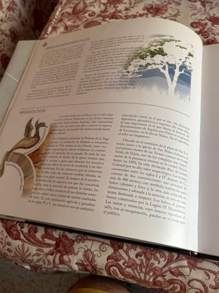 Libro sellos España y Andorra 2007 con sellos