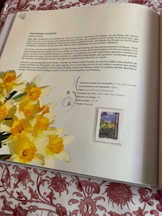 Libro sellos España y Andorra 2009 con sellos