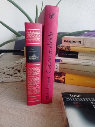 Pack 10  libros 📚📚. 4.95€ la unidad .