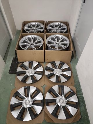 Tapacubos llanta Gemini Tesla Model Y