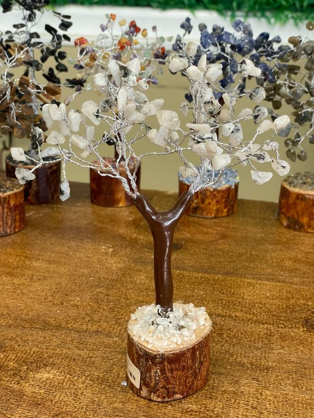 Árboles de 100 MINERALES NATURALES