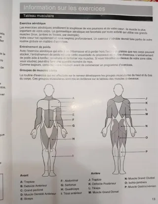 ISE máquina de Remo plegable fitness