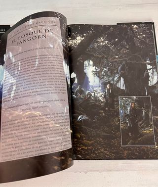 El Señor de los Anillos