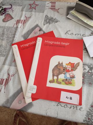 Libros catalán Santillana