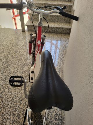 Bicicleta Qüer Q24 niño