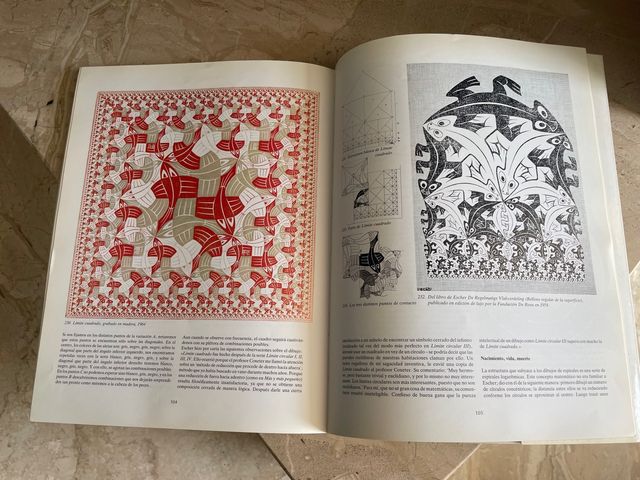 El espejo mágico de M. C. Escher