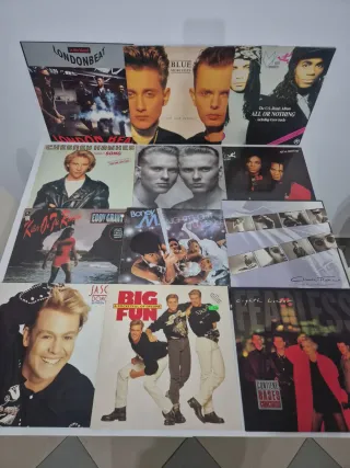 Lote vinilos 12 x 50 euros