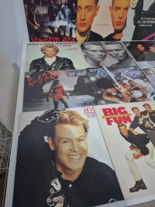 Lote vinilos 12 x 50 euros