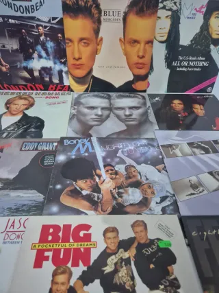Lote vinilos 12 x 50 euros