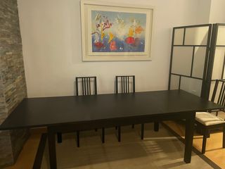 Mesa salon + 6 sillas