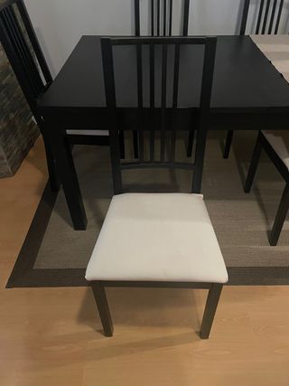 Mesa salon + 6 sillas