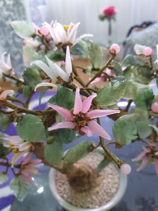 Árbol Bonsái de piedras.