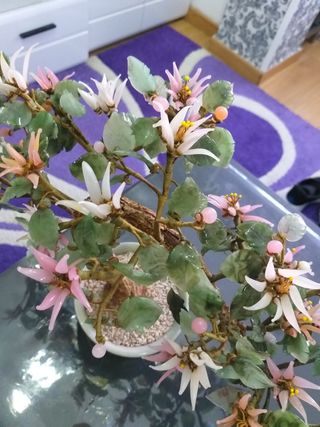 Árbol Bonsái de piedras.