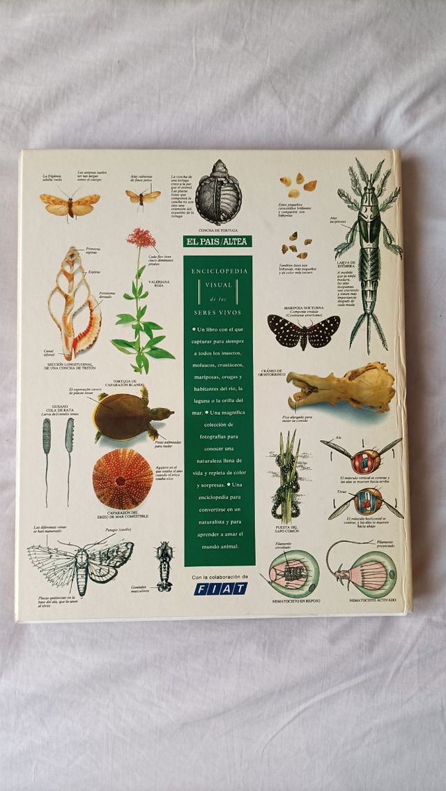 Enciclopedia visual de los seres vivos