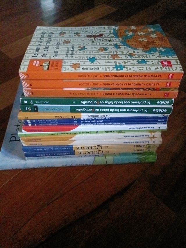 Libros colegio lectura