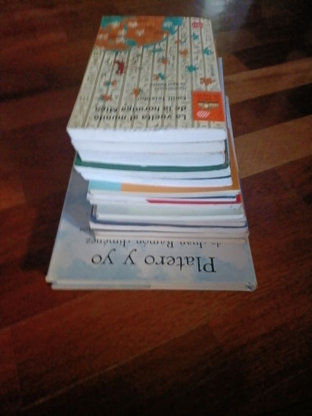 Libros colegio lectura