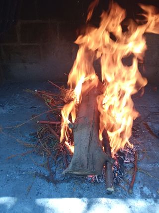 Día de piscina y bbq para comidas calçotadas...