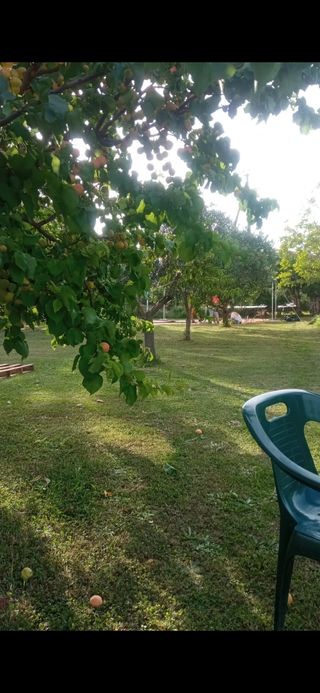 Día de piscina y bbq para comidas calçotadas...