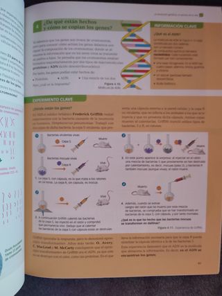 Cultura Científica 1 Bachillerato
