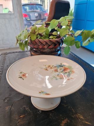 Tartero Luneville Limoges