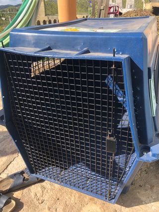 transportin perro grande