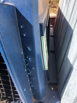 transportin perro grande