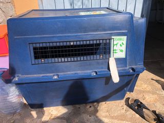 transportin perro grande