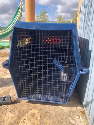 transportin perro grande