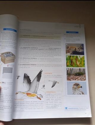 Libro Biologia y Geologia 1 Bach Anaya