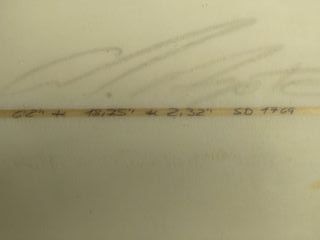 Tabla de Surf 6.2  (Nueva)