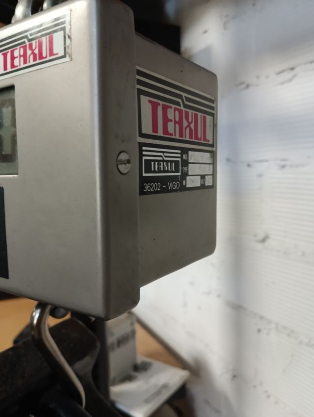 Gancho pesador 300kg INOX