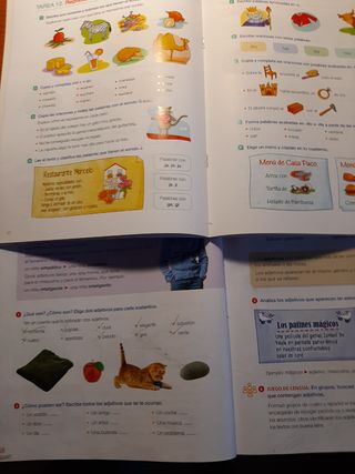 Lengua 3 primaria Santillana