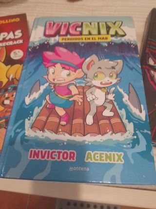 Libros Mikecrafk y Vicnix