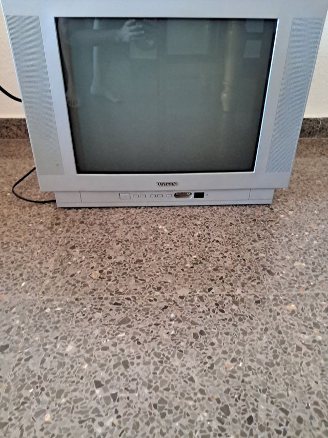 Televisión Watson 21" + TDT y DVD en 1