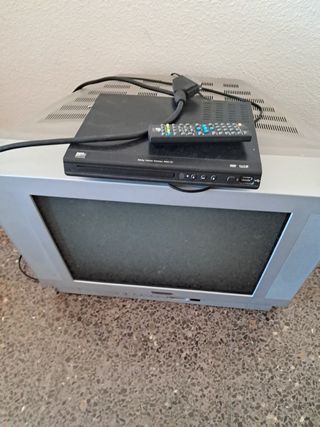 Televisión Watson 21" + TDT y DVD en 1