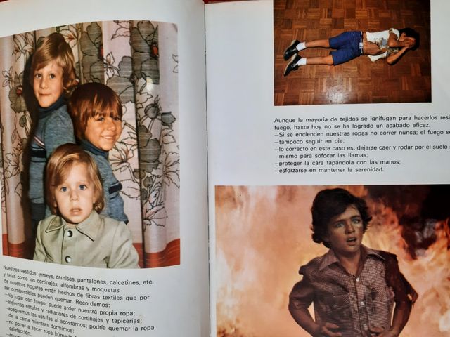 El fuego y los niños Manuel Pascual Pons