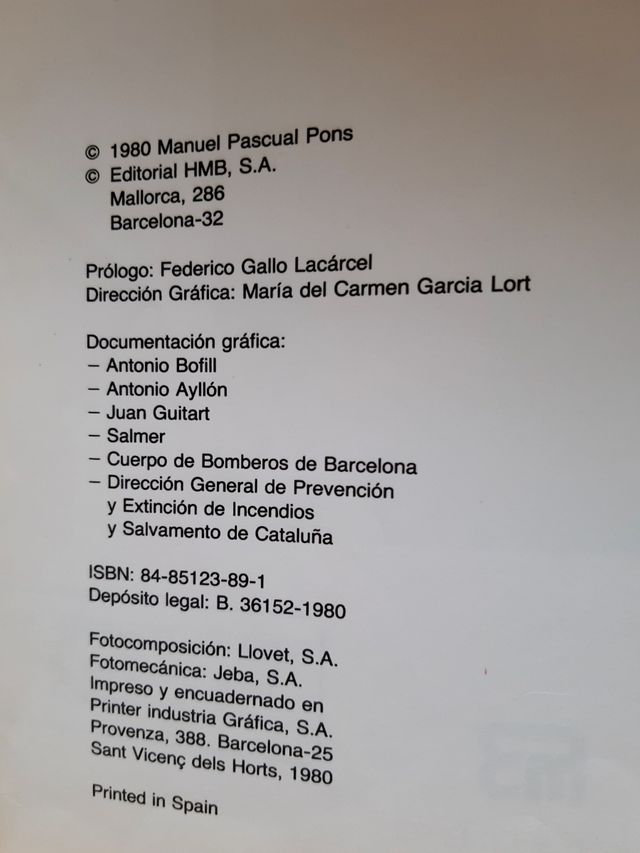 El fuego y los niños Manuel Pascual Pons