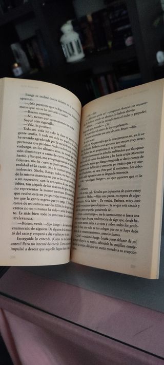 Diario de un escándalo