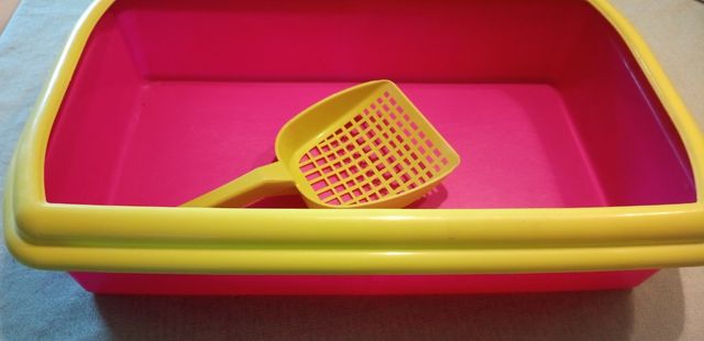 Bandeja bonita arenero gatos