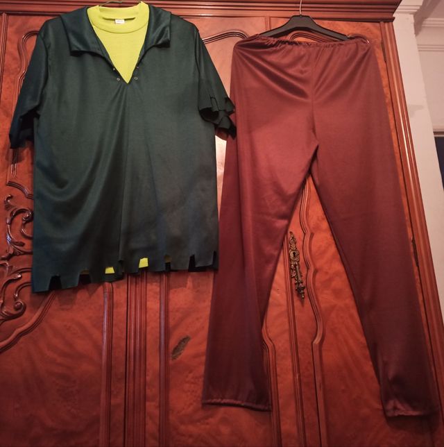 disfraz adulto de robin hood