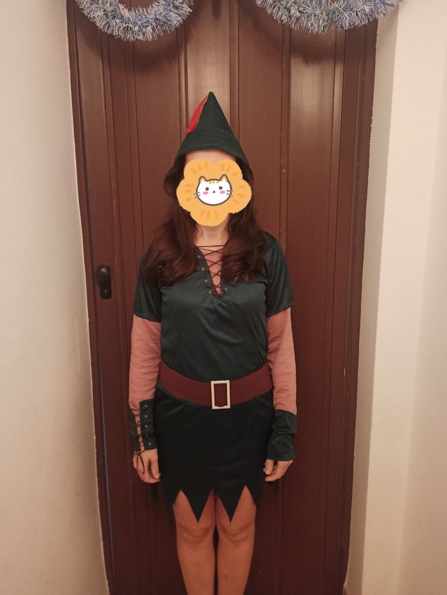 Disfraz adulto de robin hood para mujer